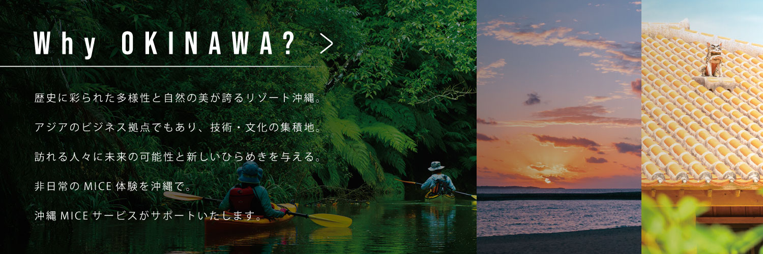 Why OKINAWA?